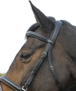 Heritage English Leather Bridle