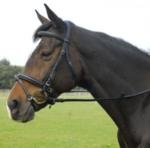 Heritage English Leather Bridle