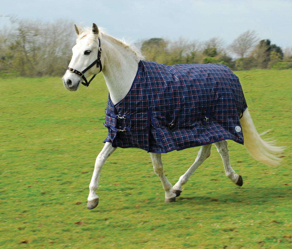 Rhinegold Zeus OutdoorRug