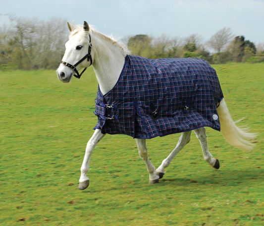 Rhinegold Zeus OutdoorRug