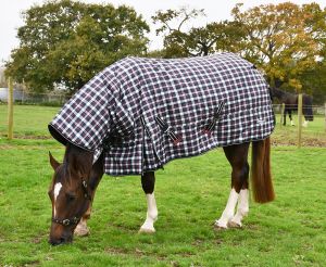 Rhinegold Glacier Full Neck Combo Outdoor Rug