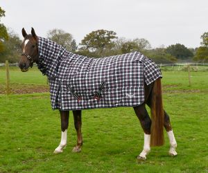 Rhinegold Glacier Full Neck Combo Outdoor Rug