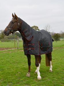 Rhhinegold Aspen Full Neck Combo Outdoor Rug