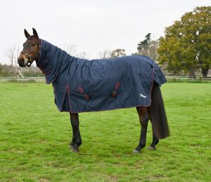 Rhhinegold Aspen Full Neck Combo Outdoor Rug