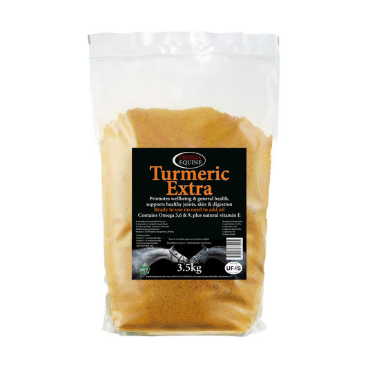 Omega Turmeric Extra